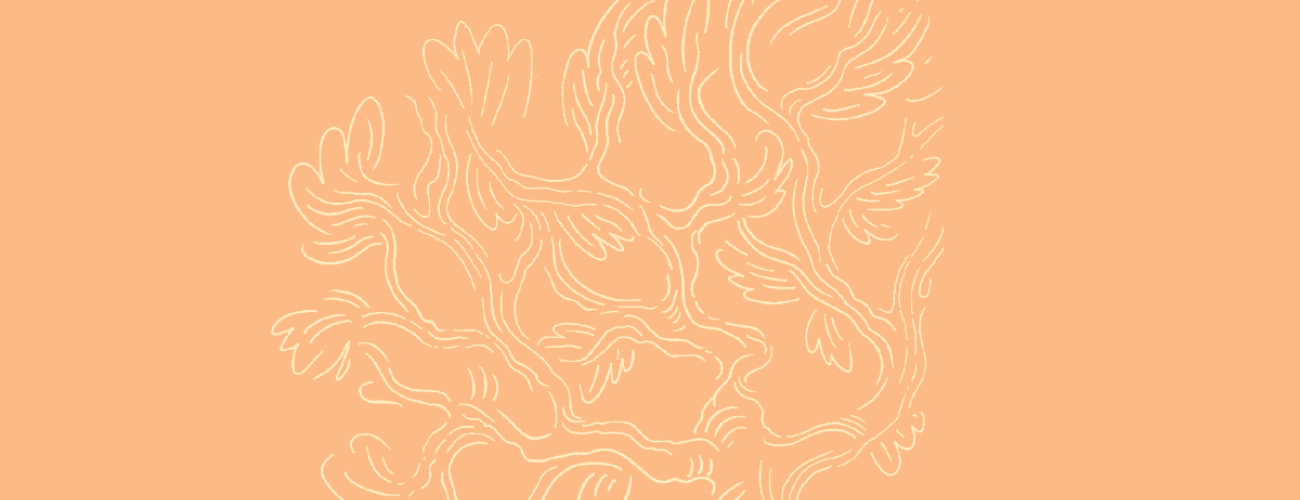 Una lingua, tante lingue, una storia