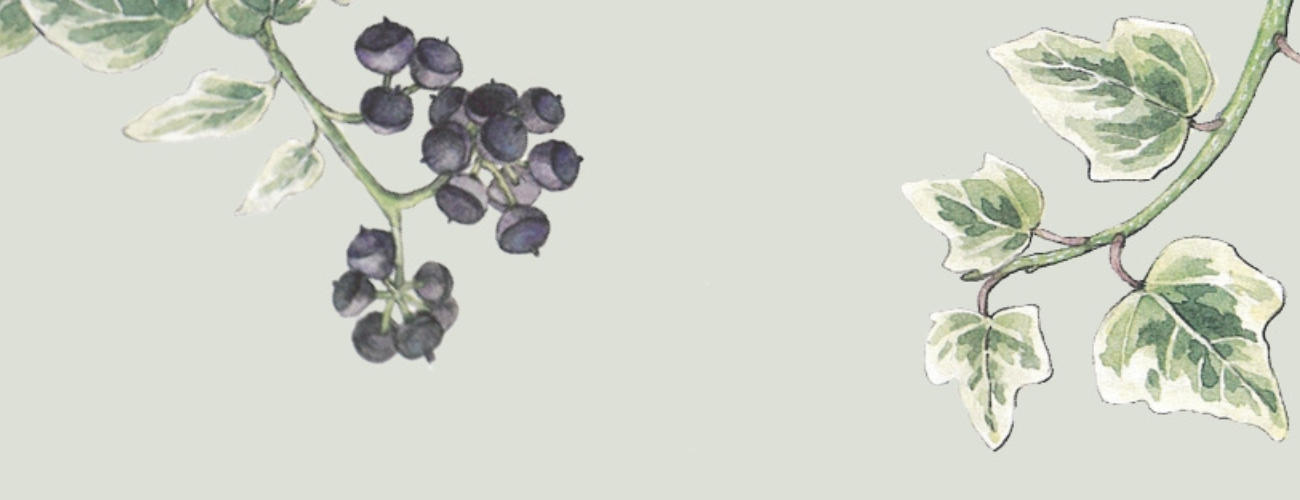 La biblioteca cresce. Dove le idee mettono radici