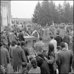 [Foto di gruppo e coppie]