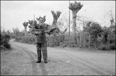 [Foto di gruppo e coppie]