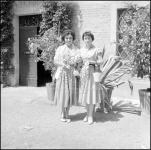 [Foto di gruppo e coppie]