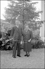 [Foto di gruppo e coppie]