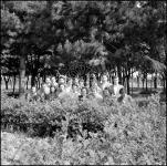 [Foto di gruppo e coppie]