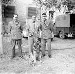 [Foto di gruppo e coppie]