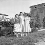 [Foto di gruppo e coppie]