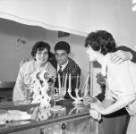 [Foto di gruppo e coppie]