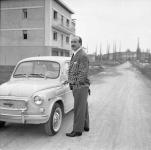 [Foto di gruppo e coppie]