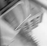 [Foto di gruppo e coppie]