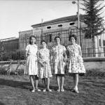 [Foto di gruppo e coppie]