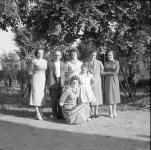 [Foto di gruppo e coppie]