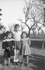 [Foto di gruppo e coppie]