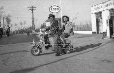 [Foto di gruppo e coppie]