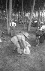 [Foto di gruppo e coppie]