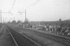 [Foto di gruppo e coppie]