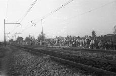 [Foto di gruppo e coppie]