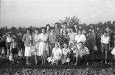 [Foto di gruppo e coppie]