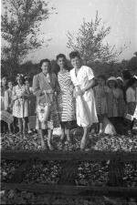 [Foto di gruppo e coppie]