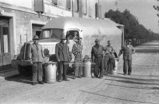 [Foto di gruppo e coppie]