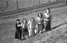 [Foto di gruppo e coppie]