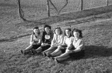 [Foto di gruppo e coppie]