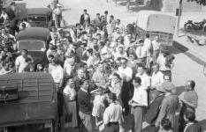 [Foto di gruppo e coppie]