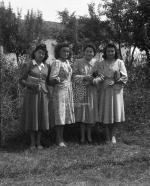 [Foto di gruppo e coppie]