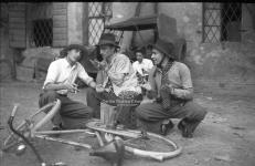 [Foto di gruppo e coppie]