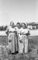 [Foto di gruppo e coppie]