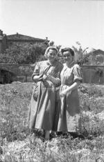 [Foto di gruppo e coppie]