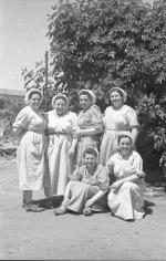 [Foto di gruppo e coppie]