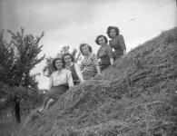 [Foto di gruppo e coppie]