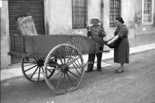[Foto di gruppo e coppie]